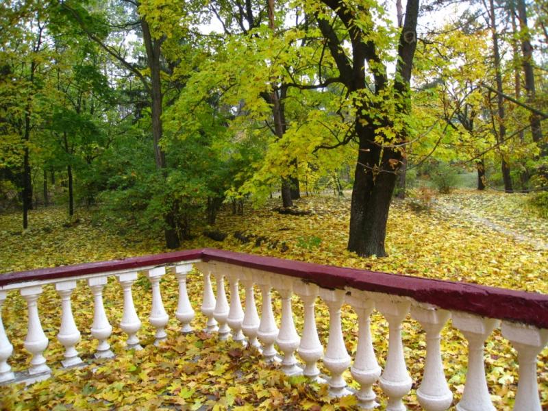 Будинок творчості письменників - Ірпінь