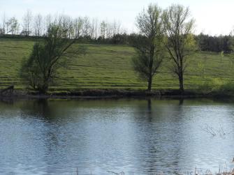 Санжариха - Санжариха