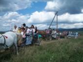 конкурс 2 - Доробратово