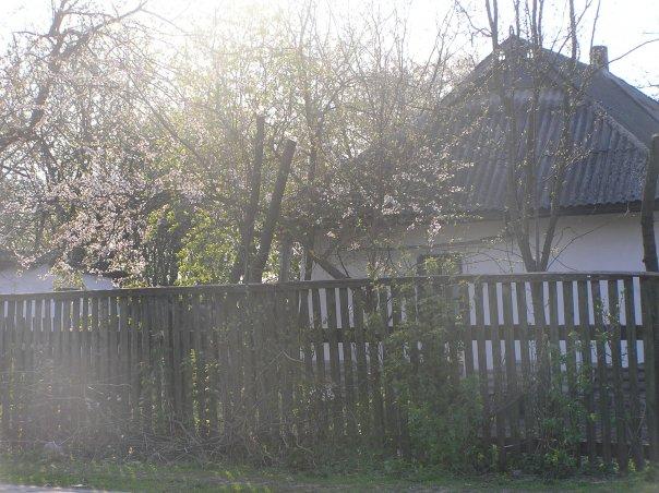 сучасний Б.Рукав - Білий Рукав