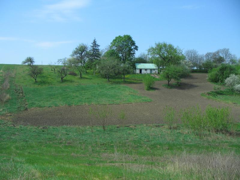 Товсті Роги - Товсті Роги