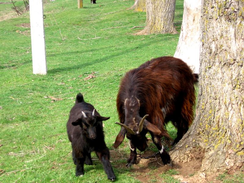 Крайнє - Крайнє