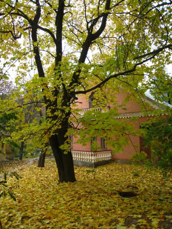 Будинок творчості письменників - Ірпінь