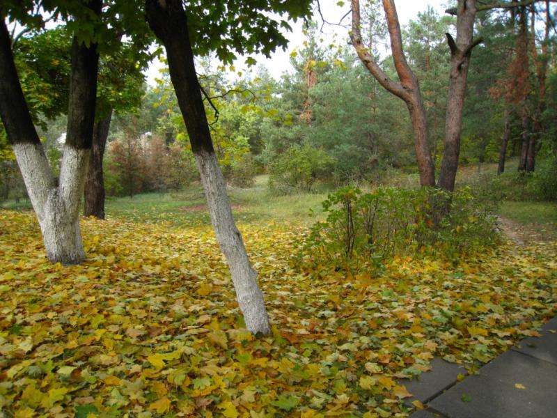 Будинок творчості письменників - Ірпінь
