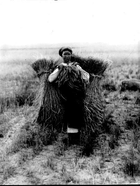 експедиція Ф.Вовка - Пакуль