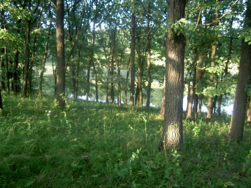 Фото села, в якому вже ніхто не живе... - Богдановка