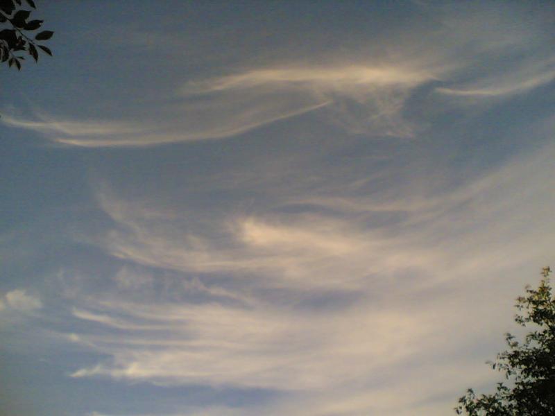 лепота - Щербаки