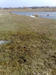 Красота Проточей