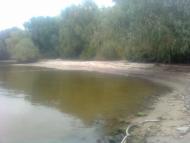 Родное село