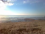 Родное село