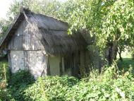 Польське село в Поліссі