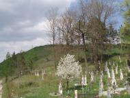 рідне село Будьків