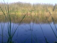 Природа і сільське життя