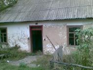 c.Крикунка, годы спустя