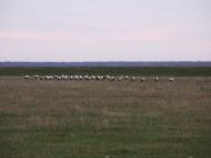 Моє рідне село