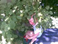 Ми в Орадівці