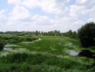 Моє рідне село