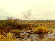 Новоселівка