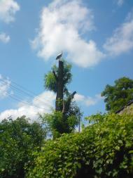 Природа села