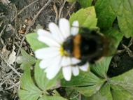 наші кра соти