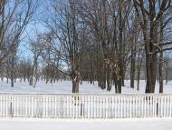 Родное село