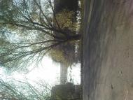 наші кра соти