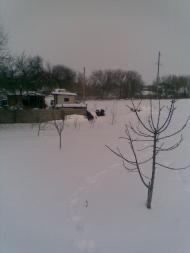 сезон