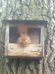 Цікавинки нашого села