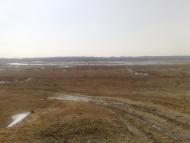 Красота Проточей