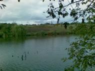 c.Крикунка, годы спустя