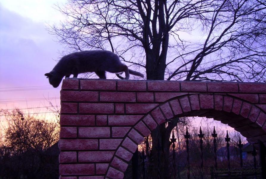 Ивчанские этюды - Ivcha