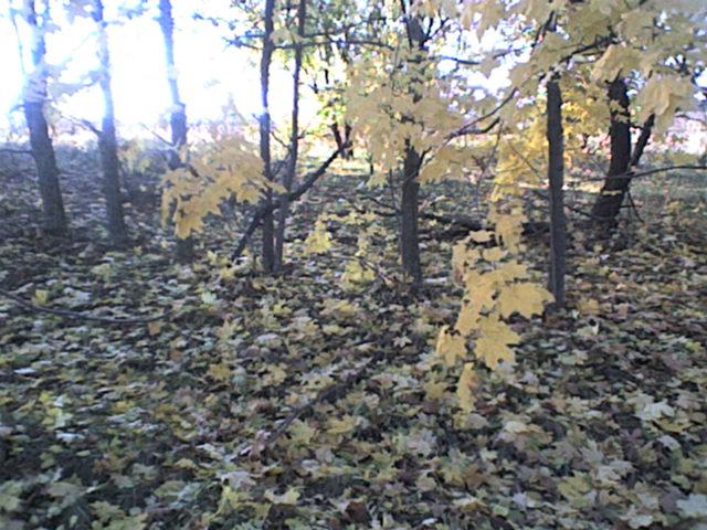 РІДНЕ СЕЛО - Bolgan