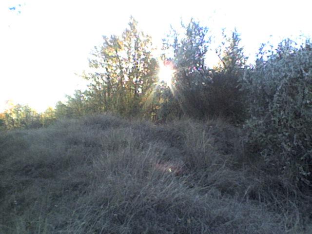 РІДНЕ СЕЛО - Болган