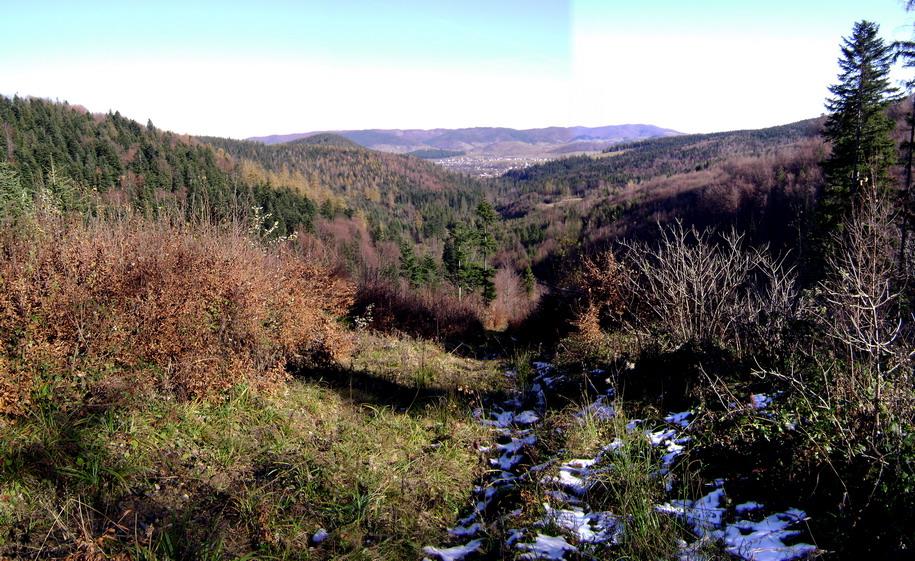 Село Карта - Білі Ослави