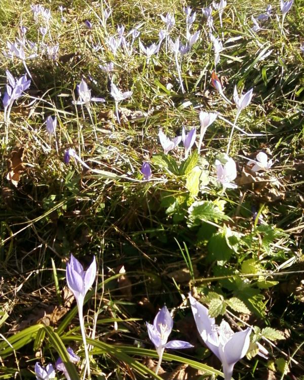 Нові фото - Теребля