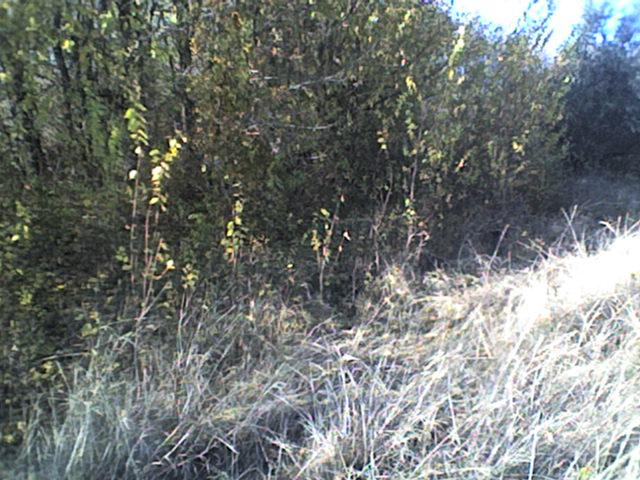 РІДНЕ СЕЛО - Bolgan