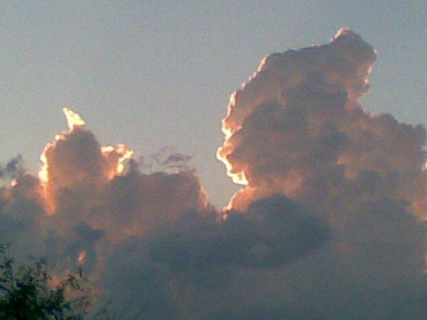 Раків Ліс - Раків Ліс