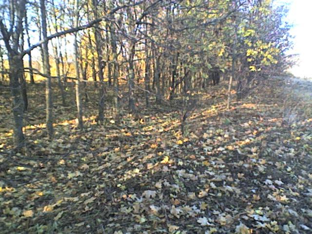 РІДНЕ СЕЛО - Болган