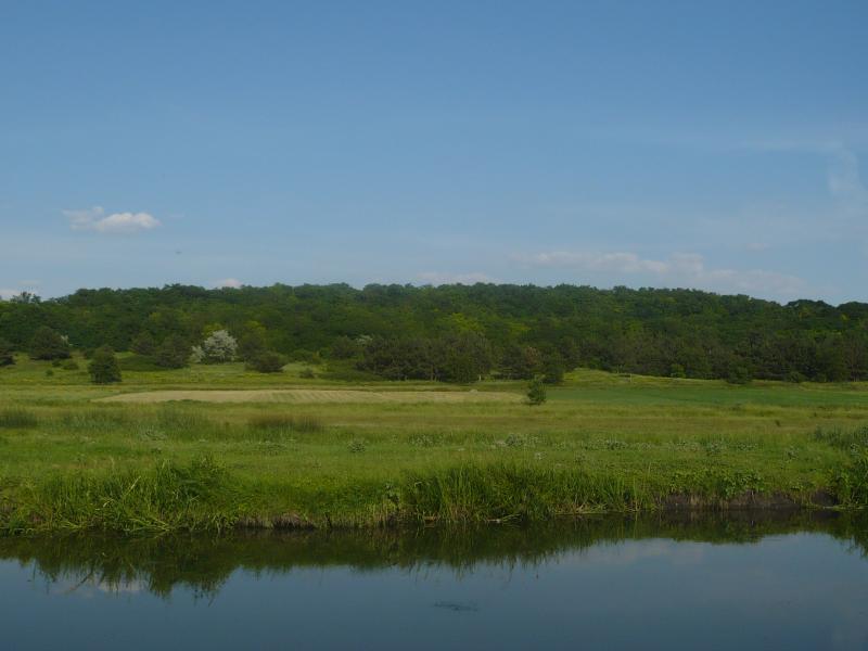 речка - Новофонтанка