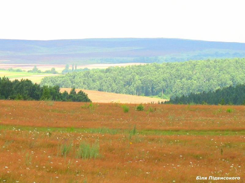під - Підвисоке