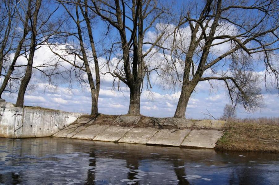 Рідне село - Zvenychiv