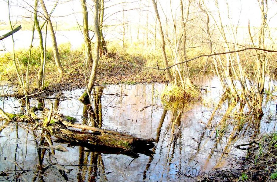 Ивчанские этюды - Ivcha