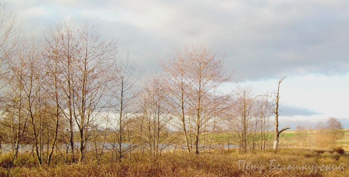 Ивчанские этюды - Ivcha