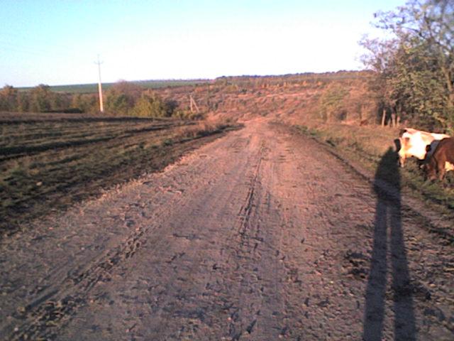 РІДНЕ СЕЛО - Bolgan