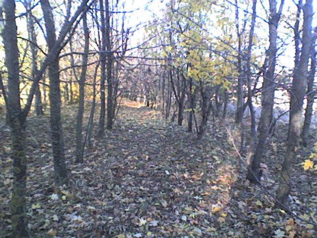 РІДНЕ СЕЛО - Bolgan