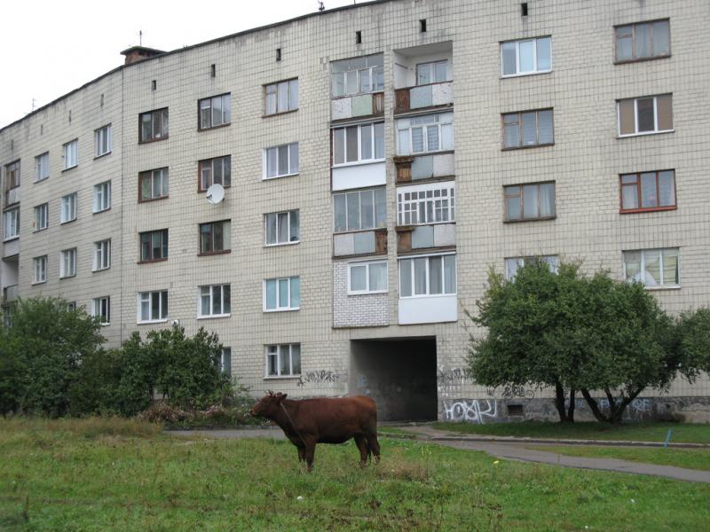 Мій рідний край - Житомир