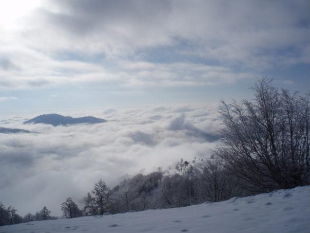 Смт. Дубове - Дубове