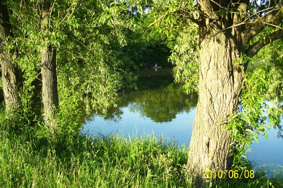 На рибалку - Дубова