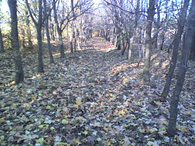 РІДНЕ СЕЛО - Bolgan