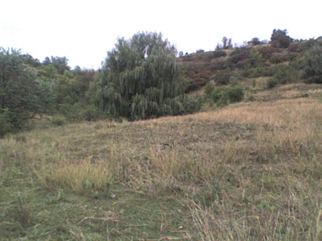 РІДНЕ СЕЛО - Bolgan